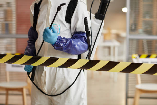 Professional Sewage Cleanup technician working in Mulberry, NC